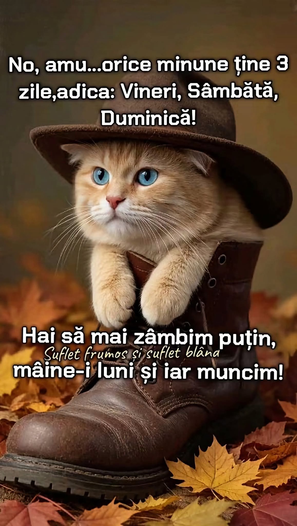 No, amu... orice minune ține 3 zile, adică: vineri, sâmbătă, duminică! Mâine-i luni și iar muncim!