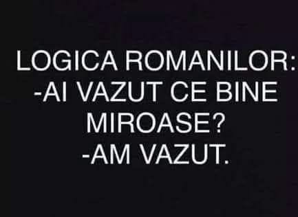 Logica românilor: Ai văzut ce bine miroase? Am văzut.