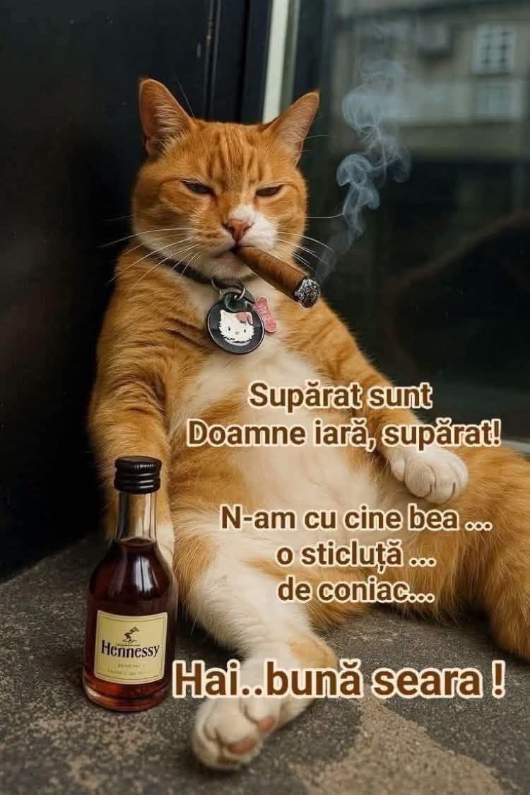 Supărat sunt, Doamne, iară supărat... N-am cu cine bea o sticluță de coniac