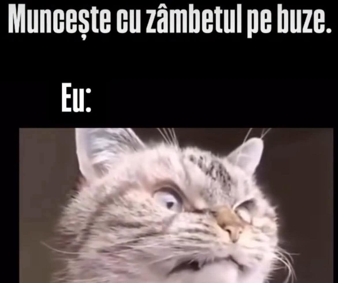 Muncește cu zâmbetul pe buze. Eu:
