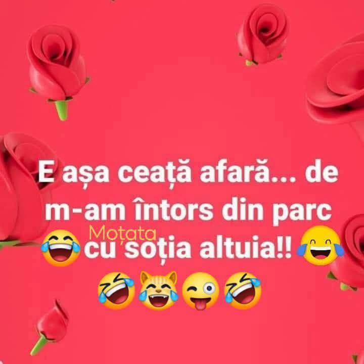E așa ceață afară, de m-am întors din parc cu soția altuia!