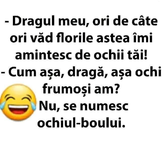 Dragul meu, ori de câte ori văd florile astea îmi amintesc de ochii tăi! Așa ochi frumoși am? Nu, se numesc ochiul-boului.