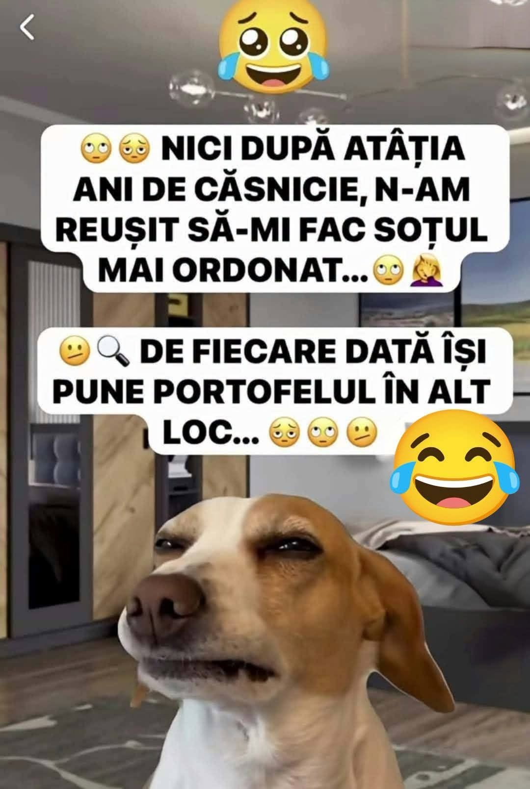 Nici după atâția ani de căsnicie n-am reușit să-mi fac soțul mai ordonat. De fiecare dată își pune portofelul în alt loc...