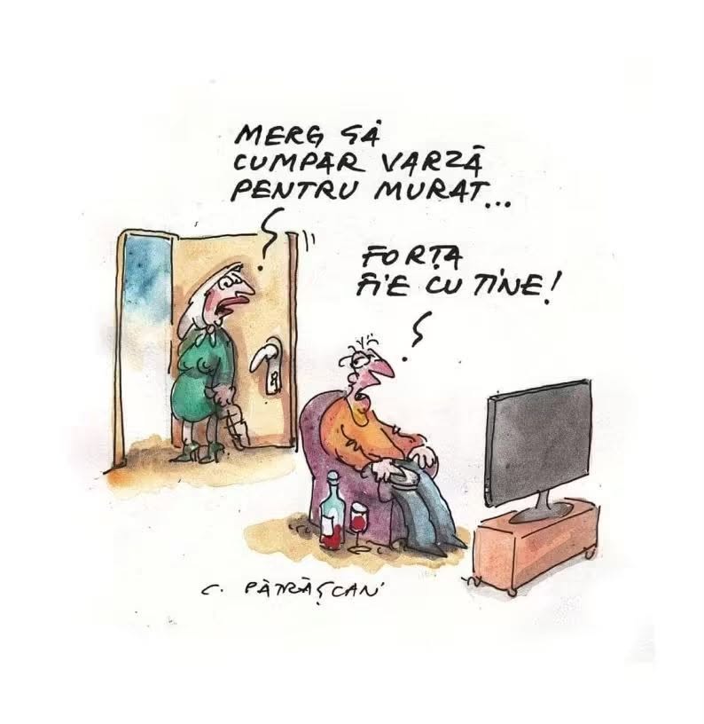Merg să cumpăr varză pentru murat... Forța fie cu tine!
