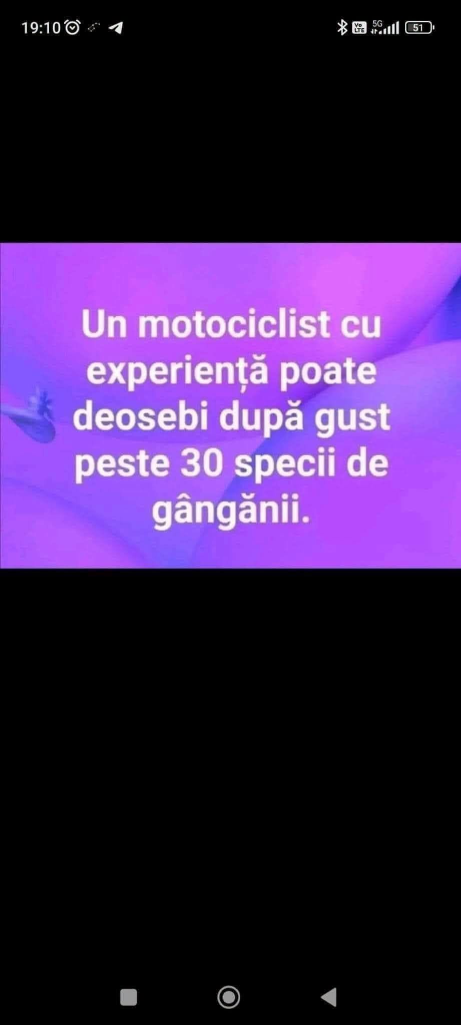 Un motociclist cu experiență poate deosebi după gust peste 30 de specii de gângănii