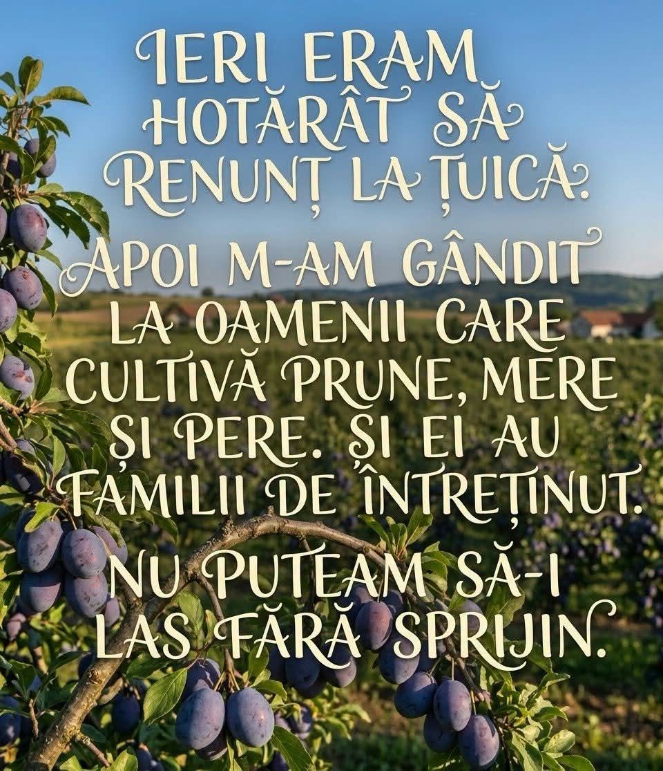 Ieri eram hotărât să renunț la țuică. Apoi m-am gândit la oamenii care cultivă prune, mere și pere. Și ei au familii de întreținut!