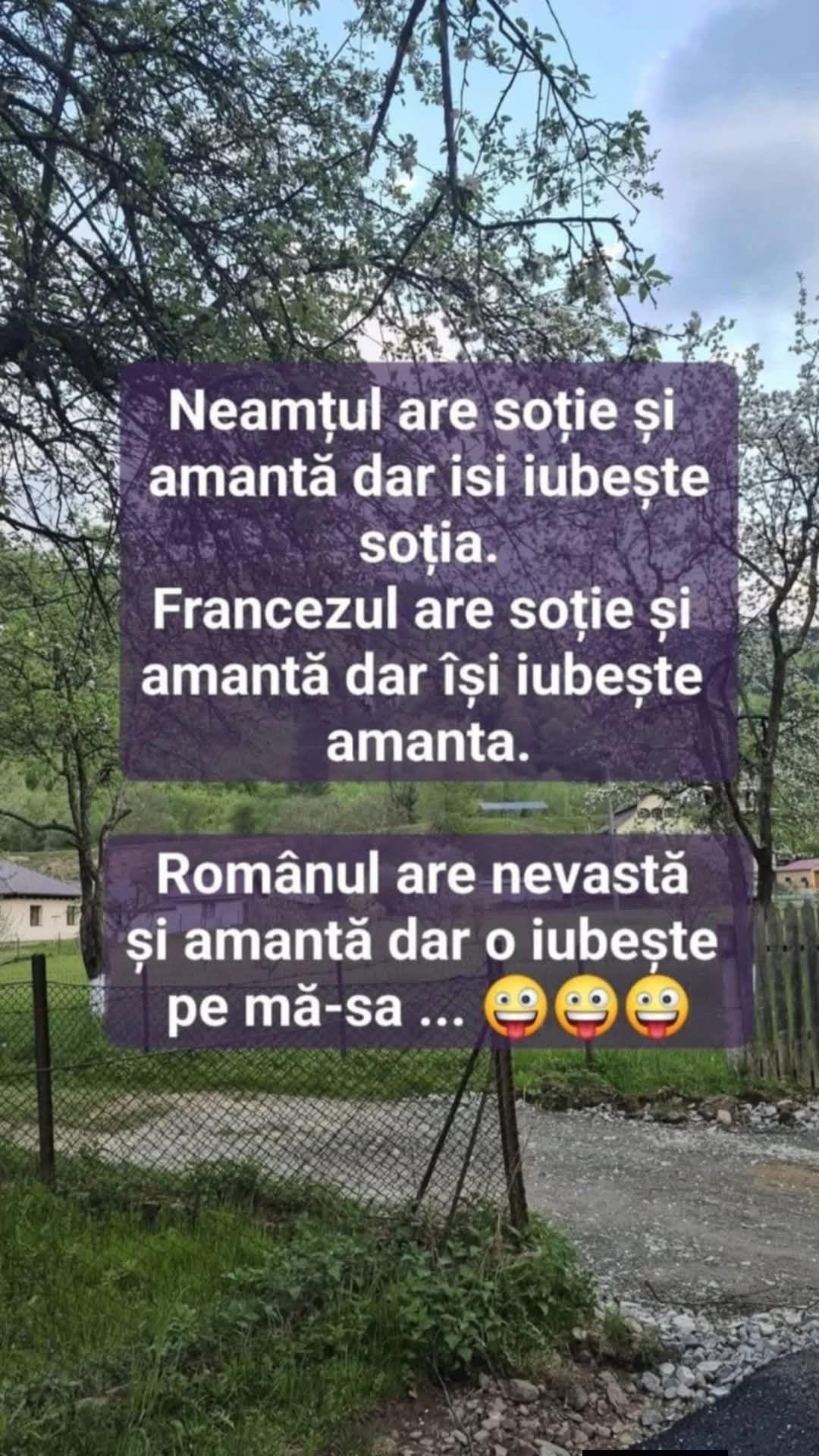 Neamțul are soție și amantă, dar își iubește soția. Francezul își iubește amanta. Românul are nevastă și amantă, dar o iubește pe mă-sa...