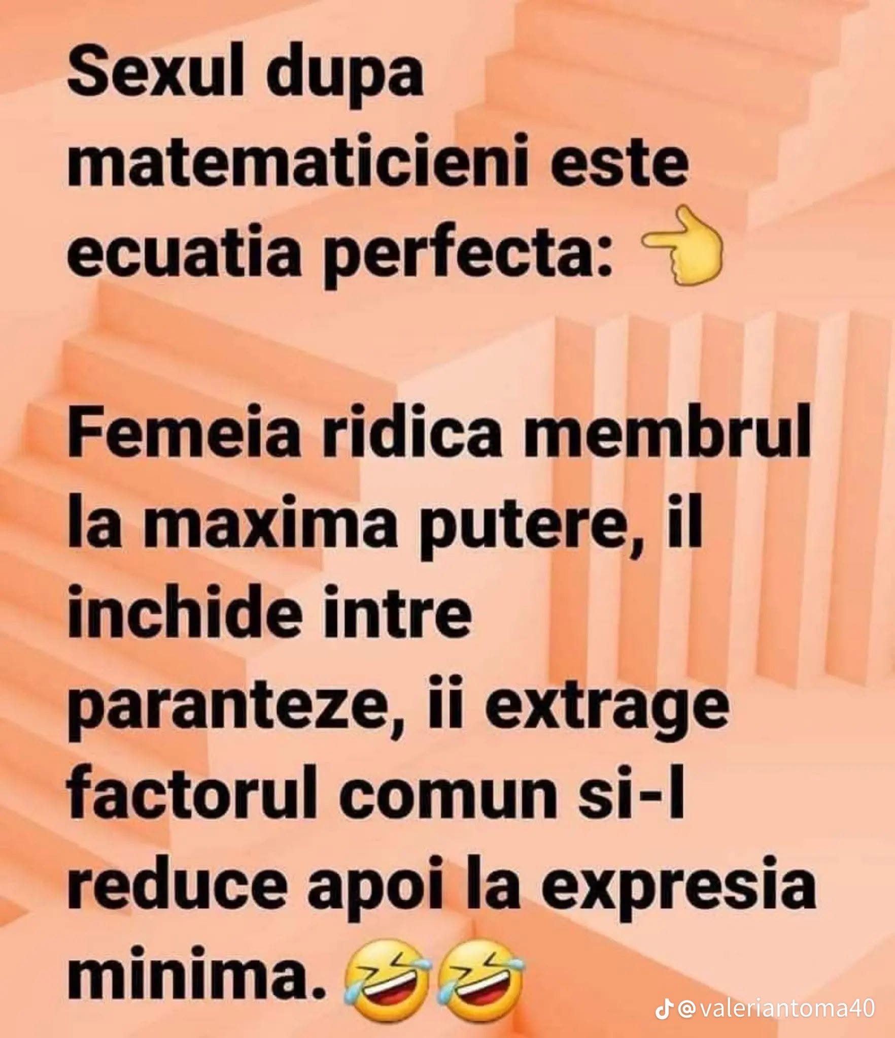 Sexul după matematicieni: femeia ridică membrul la maxima putere, îl închide între paranteze, îi extrage factorul comun și-l reduce la expresia minimă