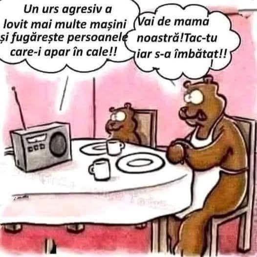 La radio: un urs a lovit mai multe mașini și fugărește persoanele care-i apar în cale! Vai de mama noastră! Tac-tu iar s-a îmbătat!