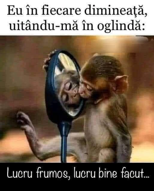 Eu în fiecare dimineață, uitându-mă în oglindă: Lucru frumos, lucru bine făcut...