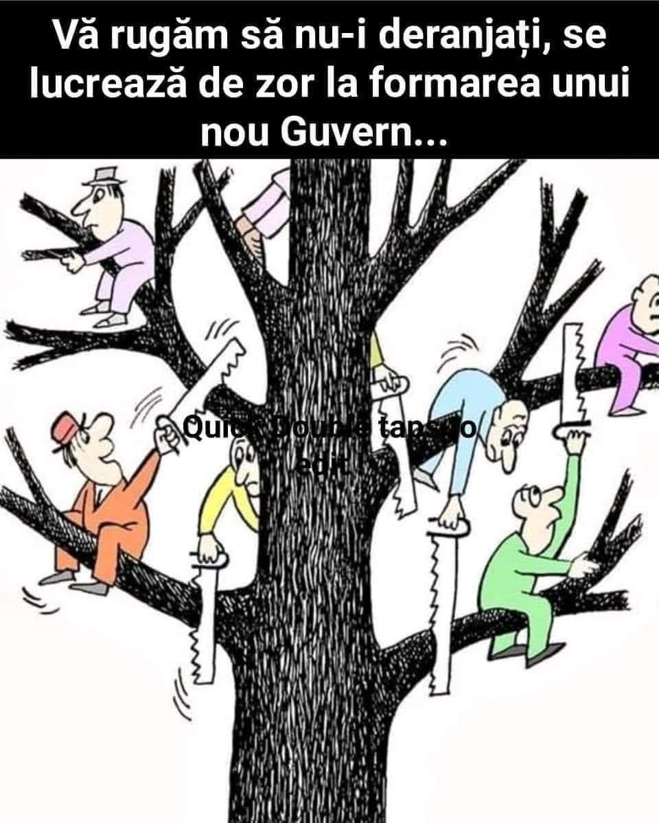 Vă rugăm să nu-i deranjați, se lucrează de zor la formarea unui nou Guvern...