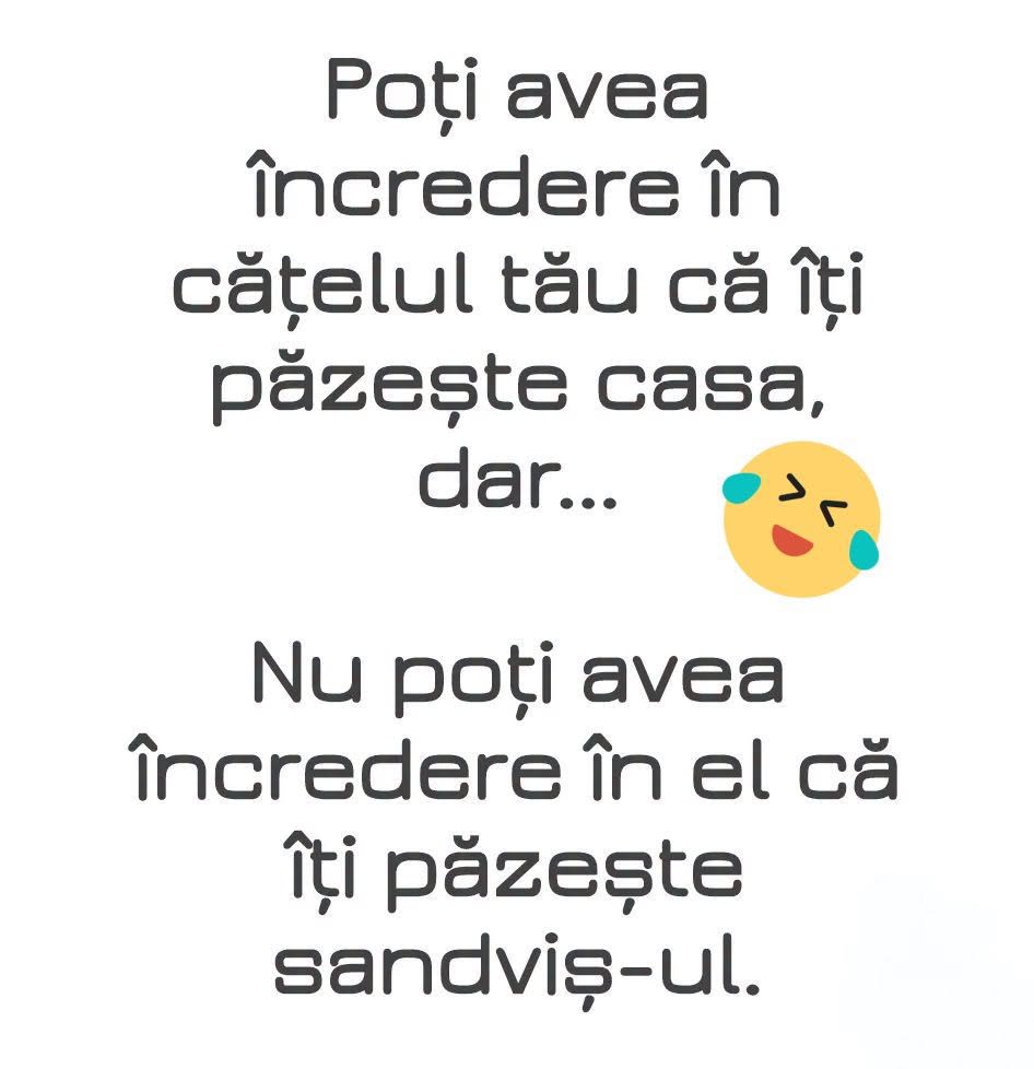 Poți avea încredere în cățelul tău că îți păzește casa, dar nu poți avea încredere în el că îți păzește sandvișul.