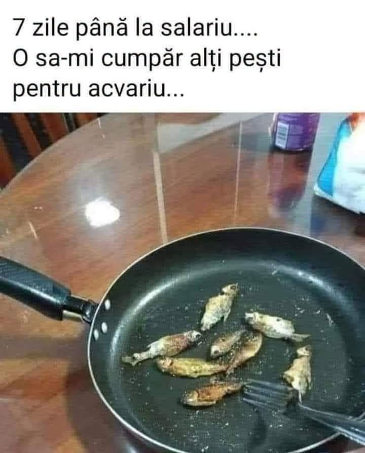 7 zile până la salariu... O să-mi cumpăr alți pești pentru acvariu