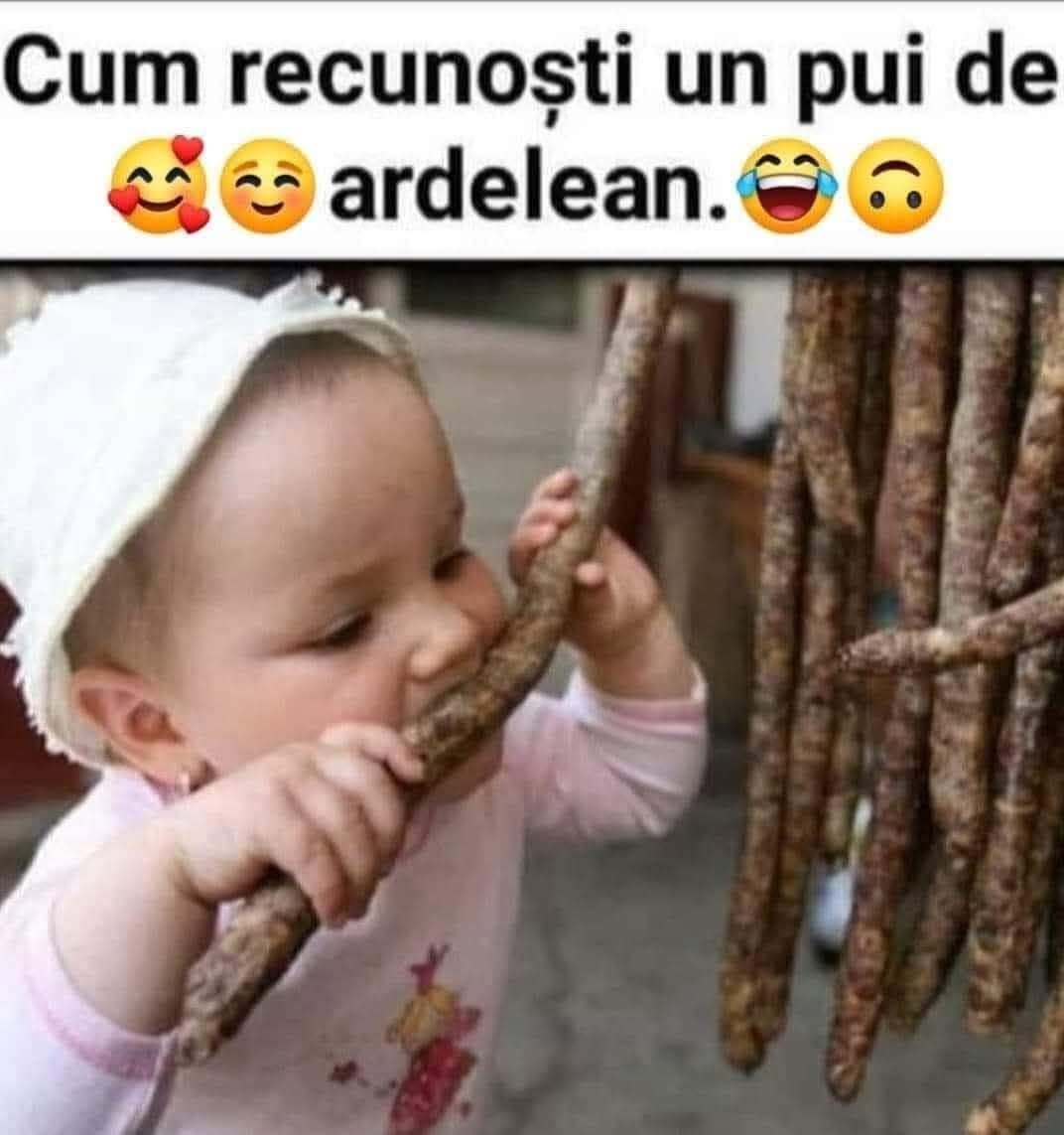 Cum recunoști un pui de ardelean
