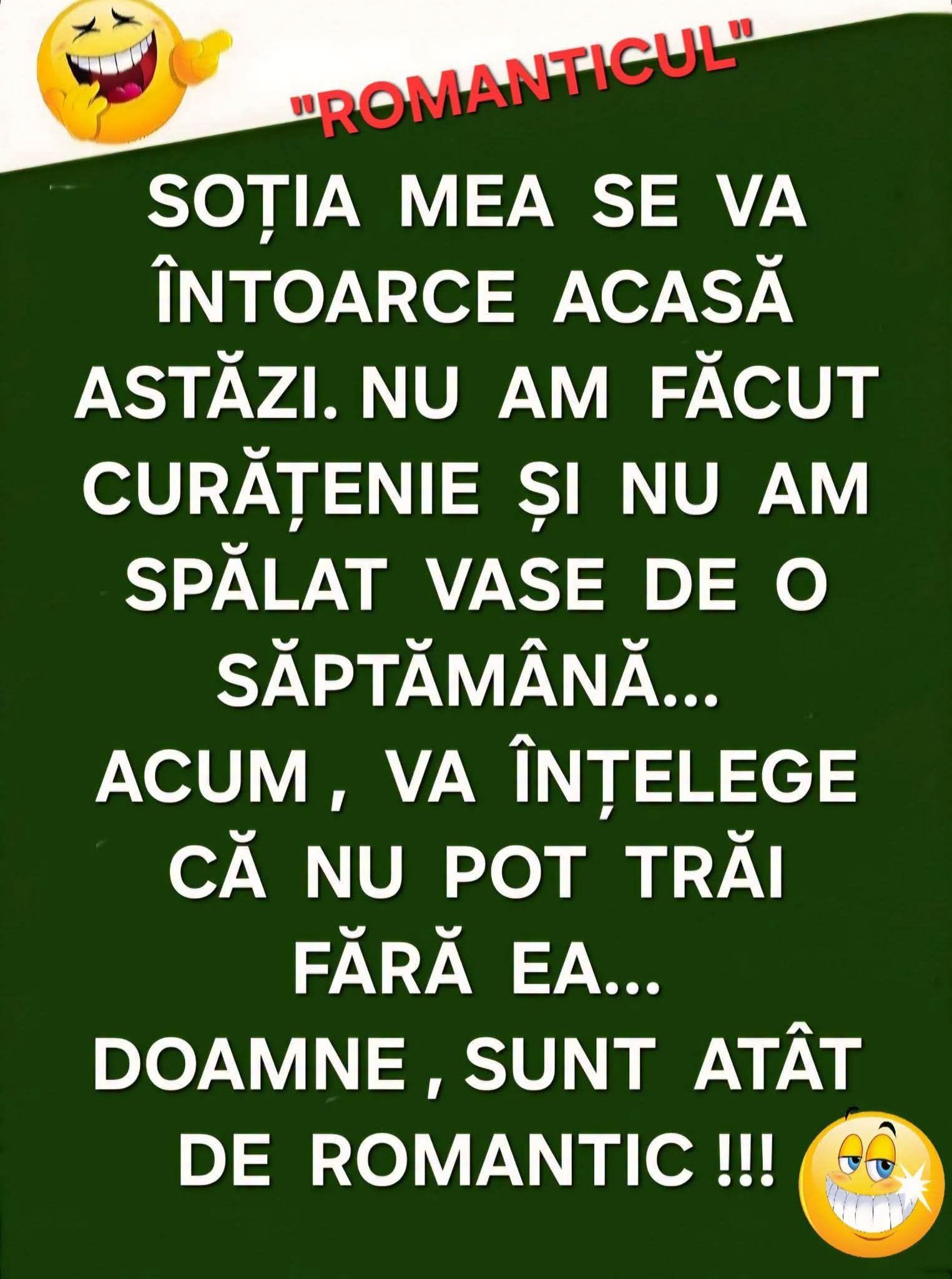 Soția se întoarce azi acasă. N-am făcut curățenie și n-am spălat vasele de o săptămână... Acum va înțelege că nu pot trăi fără ea. Sunt atât de romantic!