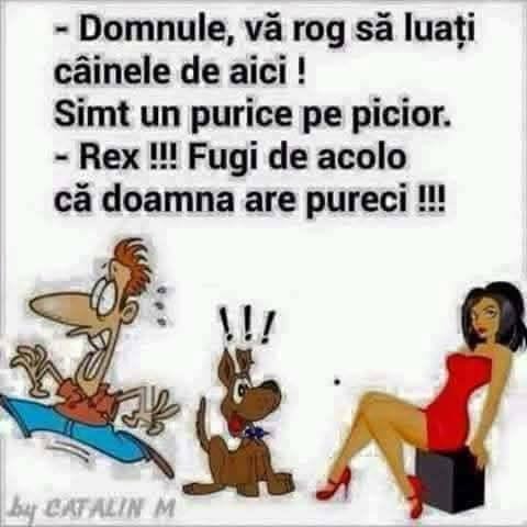 Domnule, vă rog să luați câinele de aici! Simt un purice pe picior. Rex! Fugi de acolo, că doamna are purici!