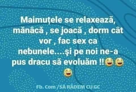 Maimuțele se relaxează, mănâncă, se joacă, dorm cât vor, fac sex ca nebunele... și pe noi ne-a pus dracu' să evoluăm!