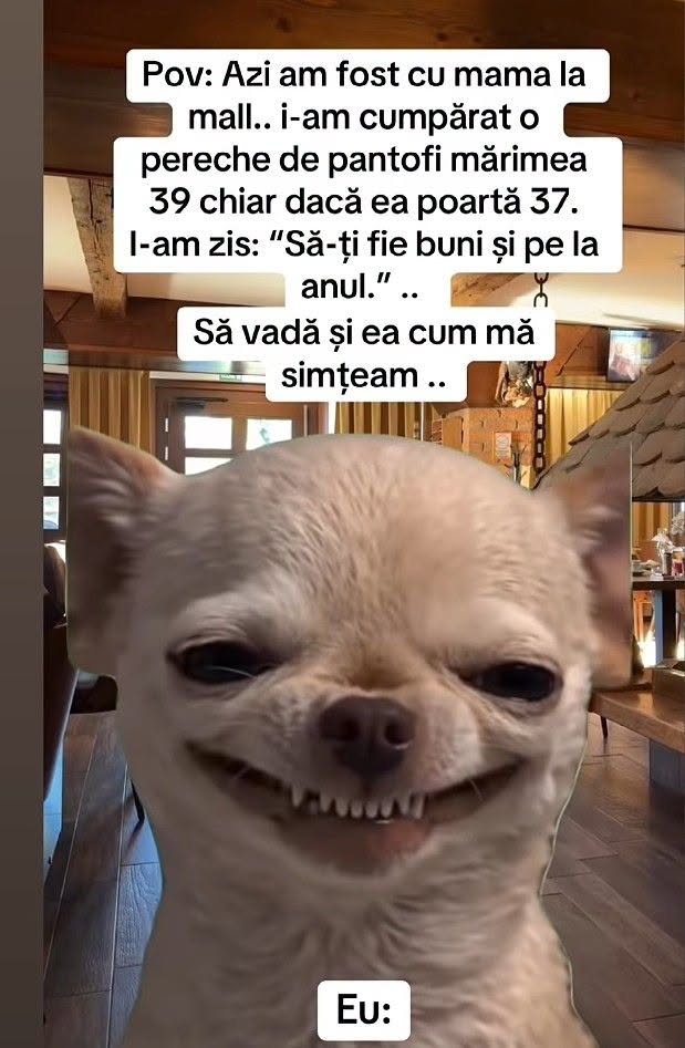 Am fost cu mama la mall, i-am cumpărat pantofi 39, deși ea poartă 37. Să-ți fie buni și pe la anul! Să vadă și ea cum mă simțeam...