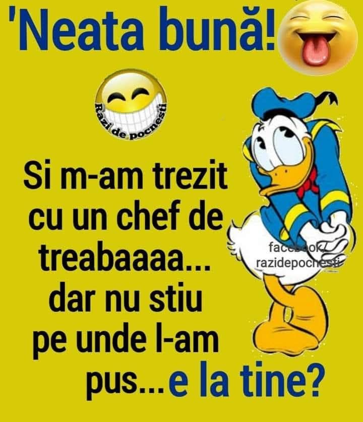 'Neața bună! M-am trezit cu un chef de treabă... dar nu știu unde l-am pus. E la tine?