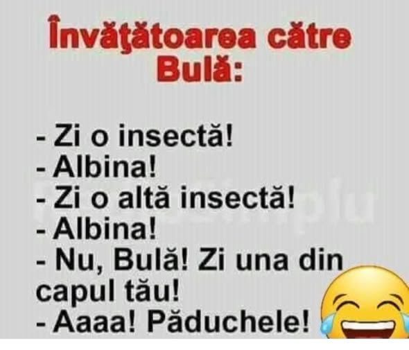 Învățătoarea către Bulă: Zi o insectă! Albina! Zi o altă insectă! Albina! Nu, Bulă! Zi una din capul tău! Aaaa! Păduchele!