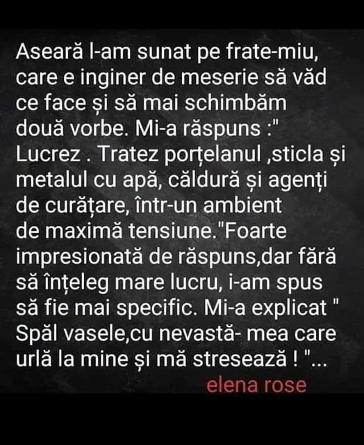Frate-miu, inginer: Tratez porțelanul, sticla și metalul cu apă, căldură și agenți de curățare, în ambient de maximă tensiune. Adică spăl vasele cu nevastă-mea urlând la mine
