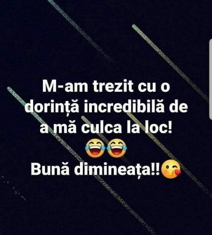 M-am trezit cu o dorință incredibilă de a mă culca la loc! Bună dimineața!