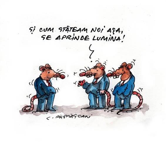 Și cum stăteam noi așa, se aprinde lumina!