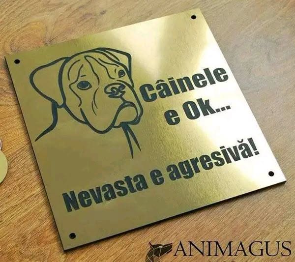Câinele e ok... Nevasta e agresivă!