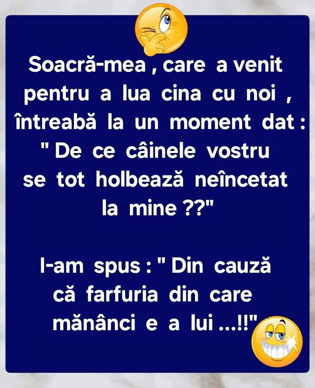 Soacră-mea: De ce se holbează câinele la mine? Din cauză că farfuria din care mănânci e a lui!