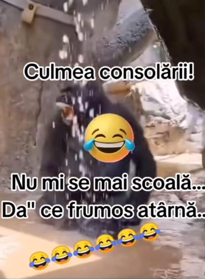 Culmea consolării: nu mi se mai scoală... dar ce frumos atârnă!
