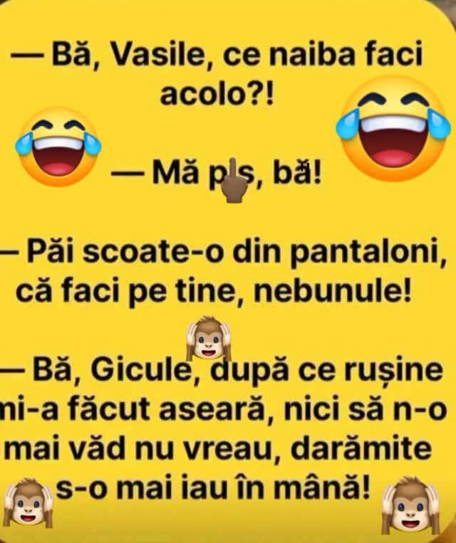 Bă Vasile, ce naiba faci acolo? Mă pi*, bă! Păi scoate-o din pantaloni, că faci pe tine, nebunule!
