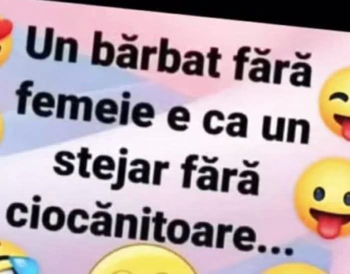 Un bărbat fără femeie e ca un stejar fără ciocănitoare