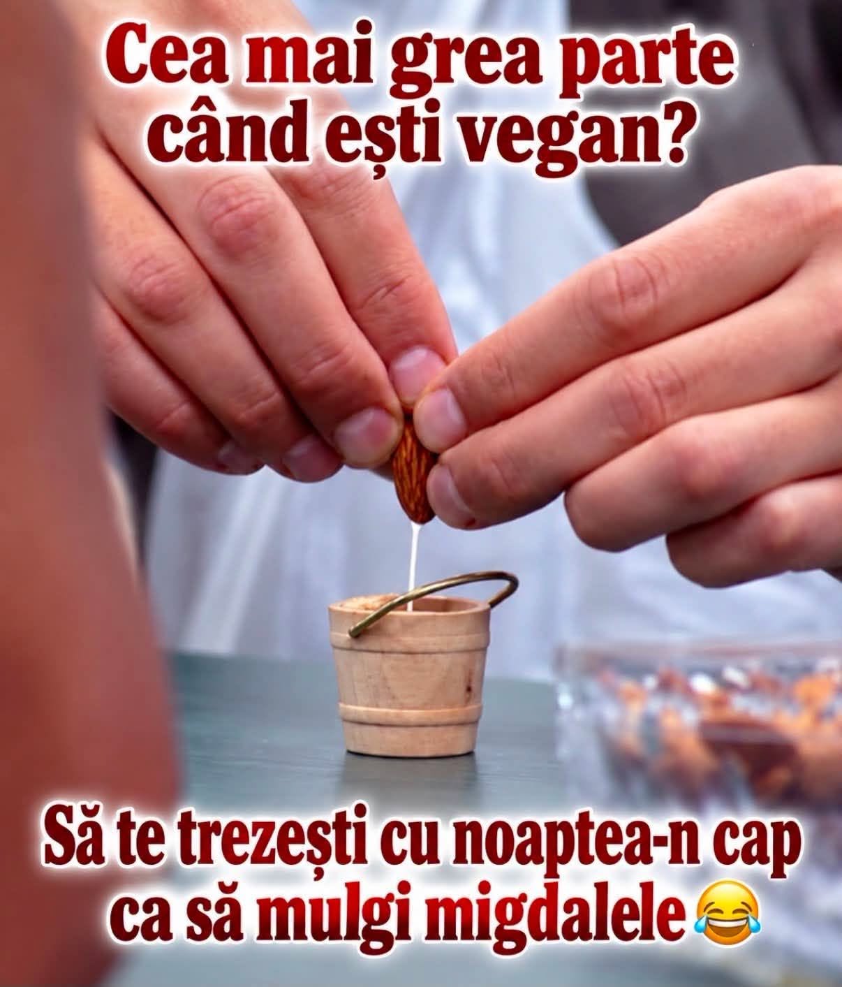 Cea mai grea parte când ești vegan? Să te trezești cu noaptea-n cap ca să mulgi migdalele