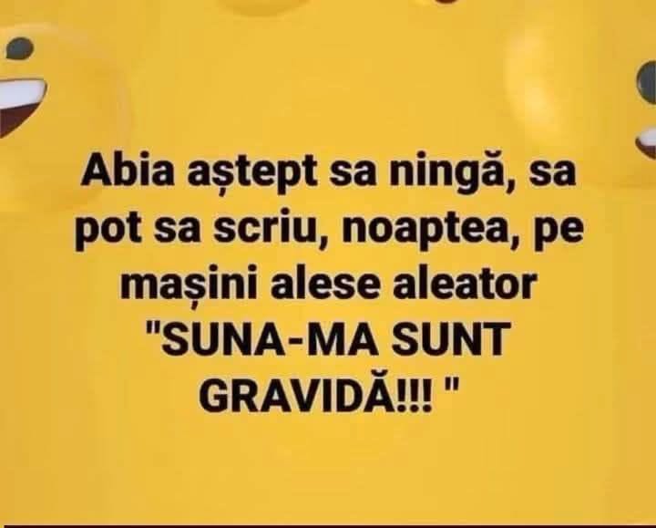 Abia aștept să ningă, să pot să scriu noaptea pe mașini alese aleator «SUNĂ-MĂ, SUNT GRAVIDĂ!»