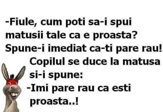 Fiule, cum poți să-i spui mătușii tale că e proastă? Spune-i imediat că-ți pare rău! Îmi pare rău că ești proastă!
