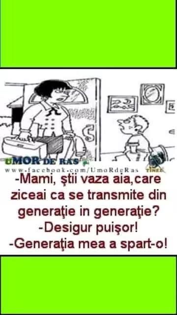 Mami, știi vaza aia care ziceai că se transmite din generație în generație? Desigur, puișor! Generația mea a spart-o!