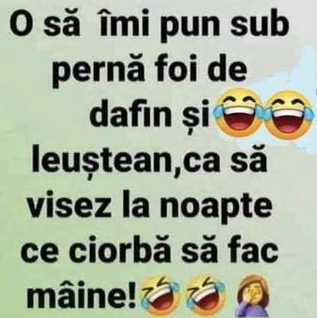 O să îmi pun sub pernă foi de dafin și leuștean, ca să visez la noapte ce ciorbă să fac mâine!