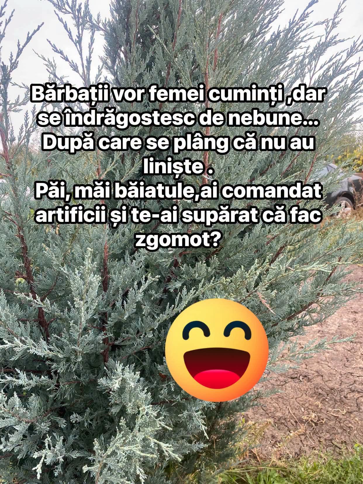 Bărbații vor femei cuminți, dar se îndrăgostesc de nebune, apoi se plâng că nu au liniște. Păi, măi băiatule, ai comandat artificii și te-ai supărat că fac zgomot?