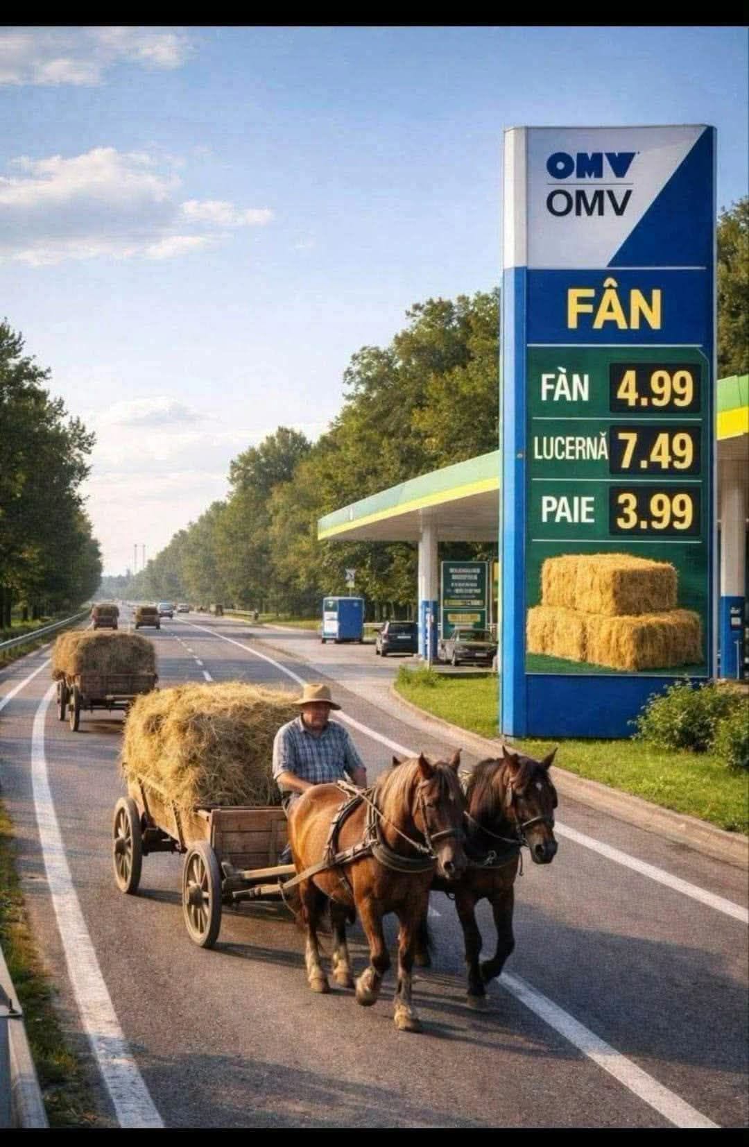 Prețurile la benzinărie: fân, lucernă, paie