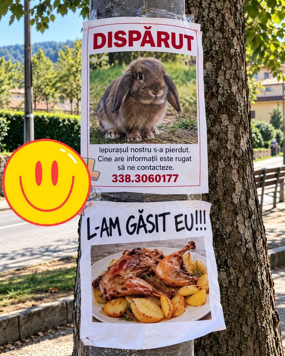 Dispărut: iepure. L-am găsit eu!