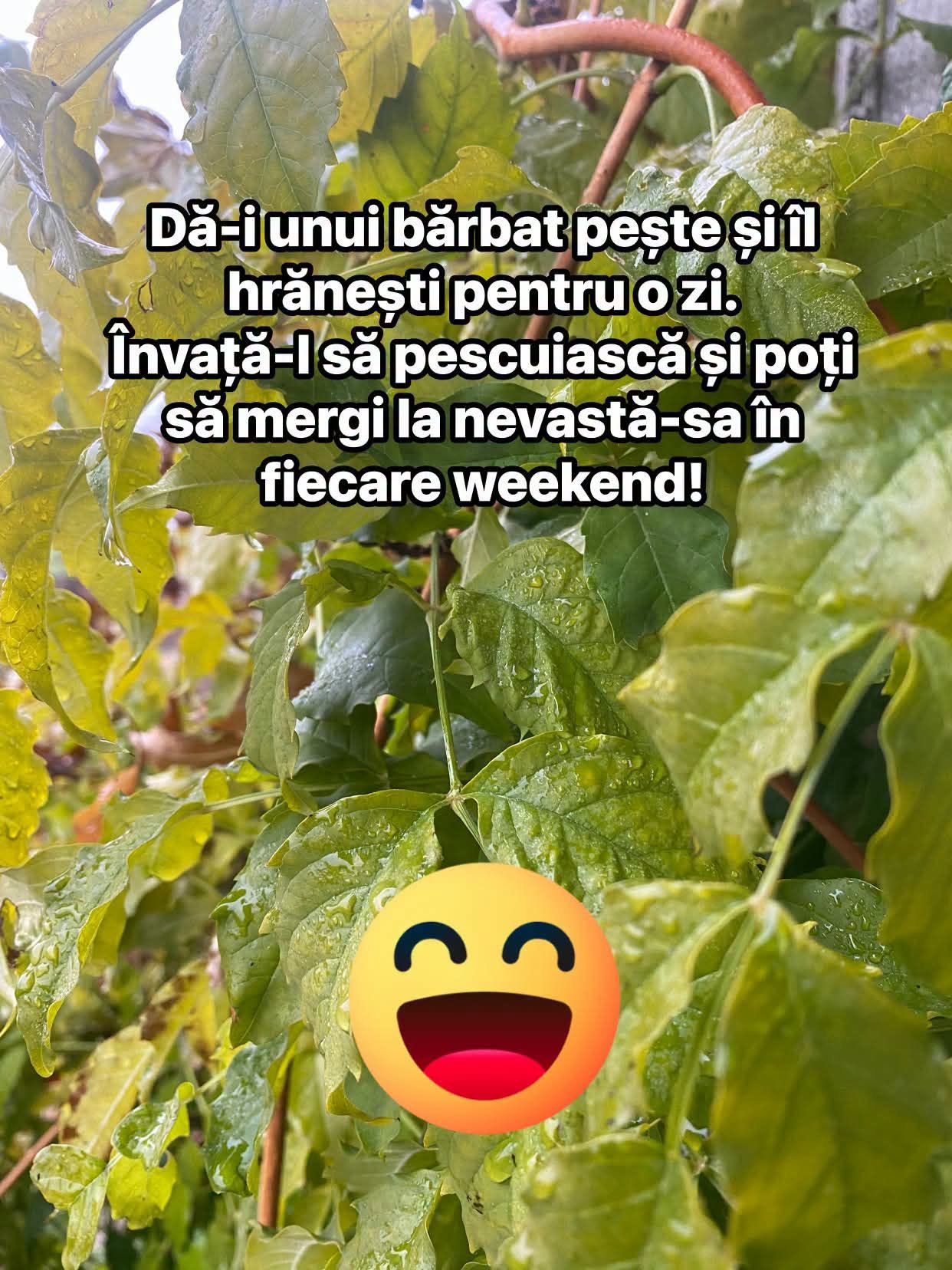 Dă-i unui bărbat pește și îl hrănești pentru o zi. Învață-l să pescuiască și poți să mergi la nevastă-sa în fiecare weekend!