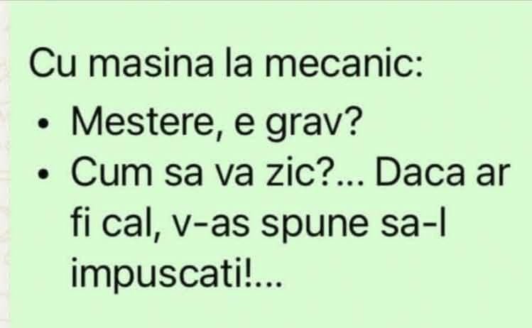 Cu mașina la mecanic: Meștere, e grav? Cum să vă zic... dacă ar fi cal, v-aș spune să-l împușcați!