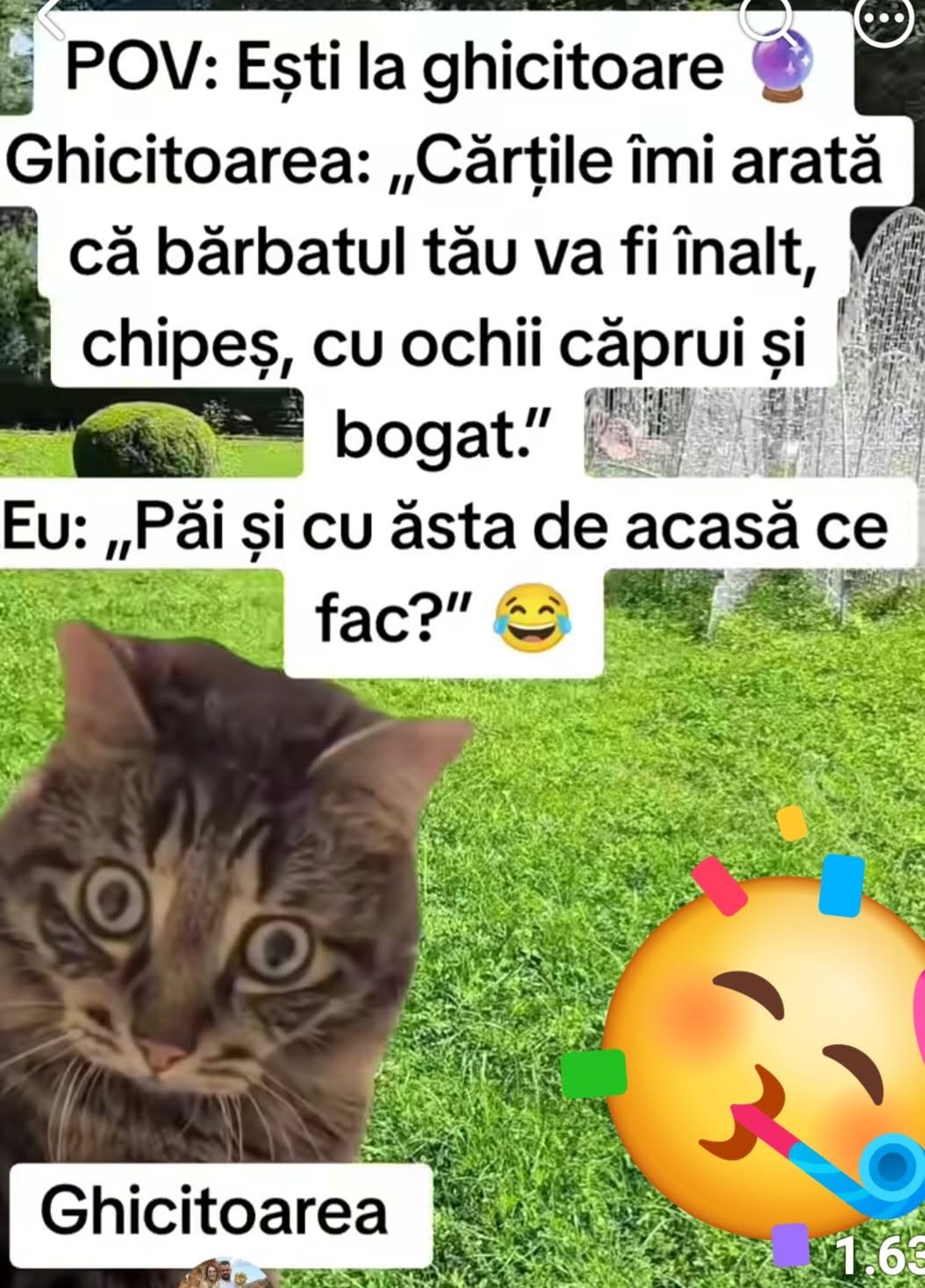 Ghicitoarea: Cărțile îmi arată că bărbatul tău va fi înalt, chipeș, cu ochii căprui și bogat. Păi și cu ăsta de acasă ce fac?