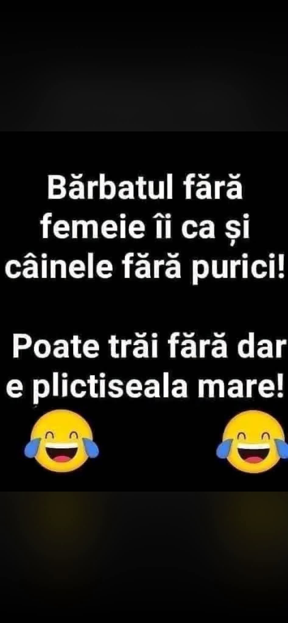 Bărbatul fără femeie e ca și câinele fără purici! Poate trăi fără dar e plictiseala mare!