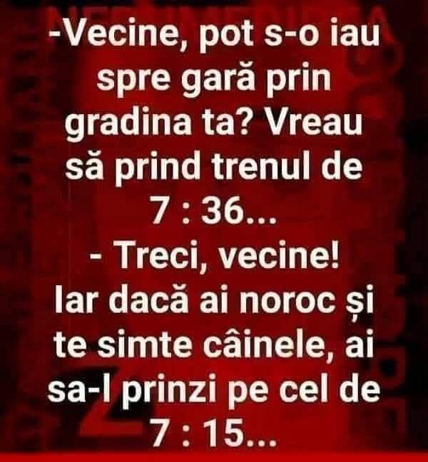 Vecine, pot s-o iau spre gară prin grădina ta? Vreau să prind trenul de 7:36. Treci, și dacă te simte câinele, îl prinzi și pe cel de 7:15!