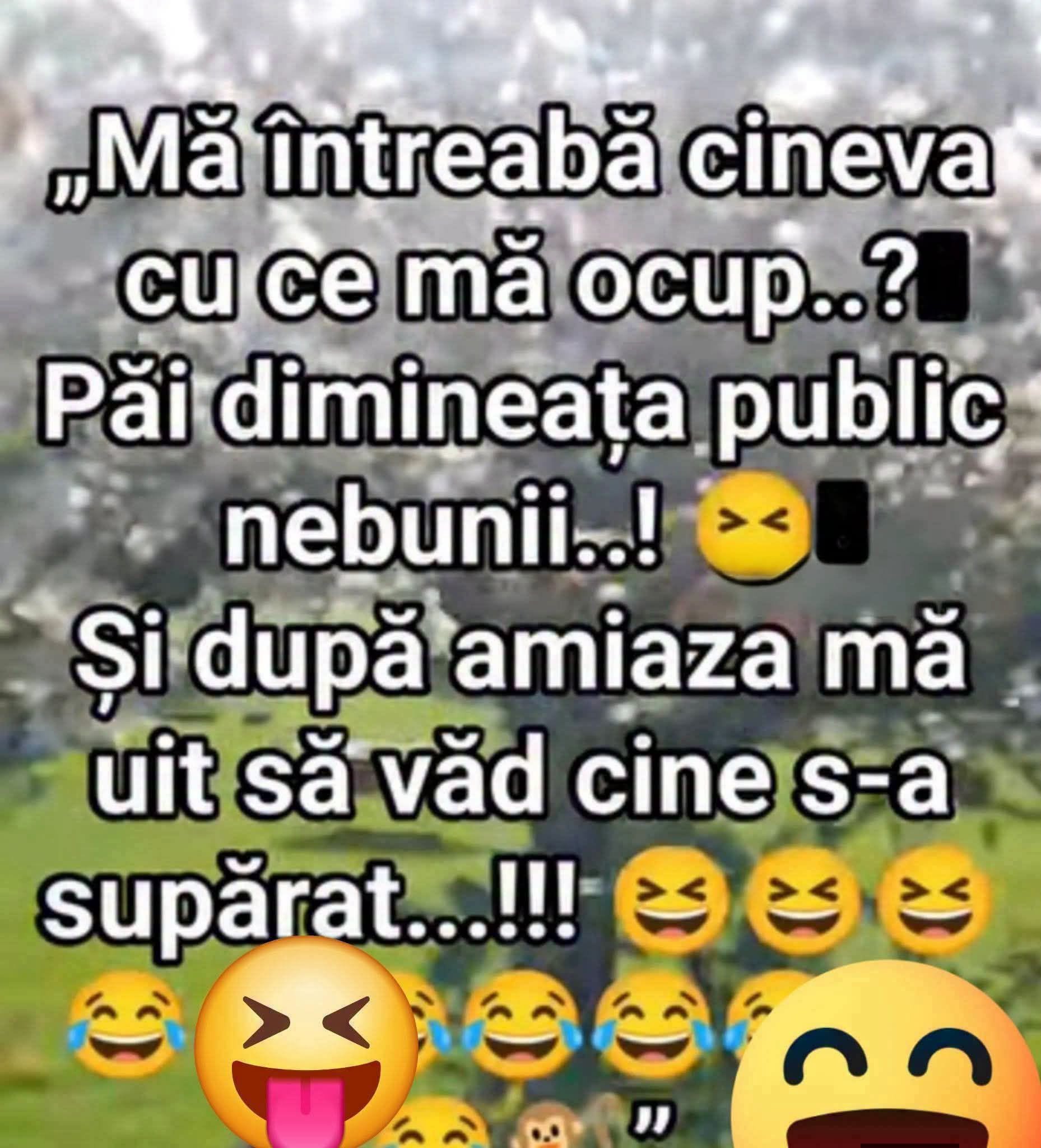 Mă întreabă cineva cu ce mă ocup: păi dimineața public nebunii, și după-amiaza mă uit să văd cine s-a supărat!