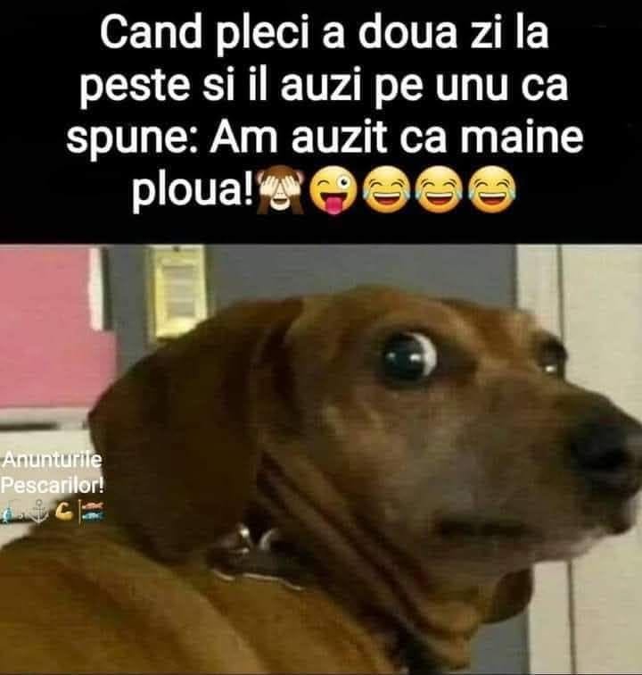 Când pleci a doua zi la pește și îl auzi pe unul cum spune: Am auzit că mâine plouă!
