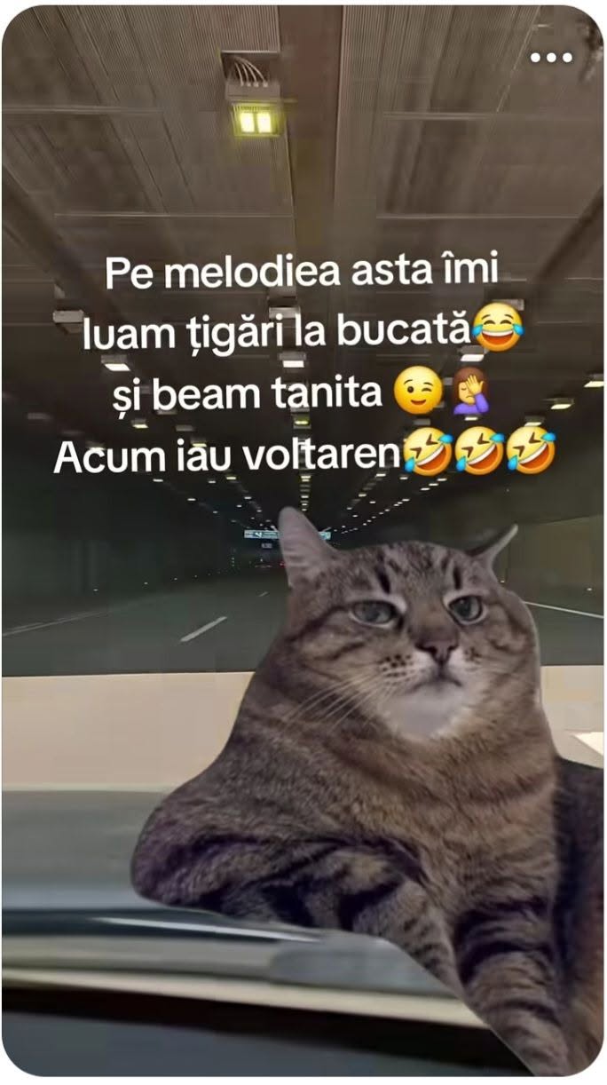 Pe melodia asta îmi luam țigări la bucată și beam Tanița... Acum iau Voltaren!