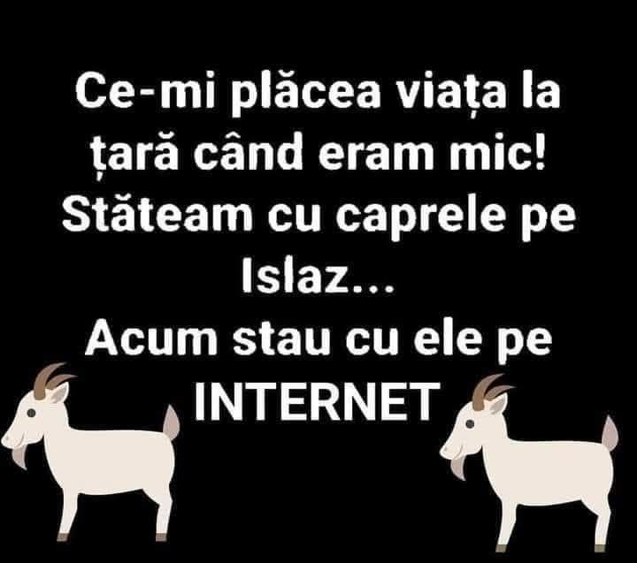 Ce-mi plăcea viața la țară când eram mic! Stăteam cu caprele pe islaz... Acum stau cu ele pe internet