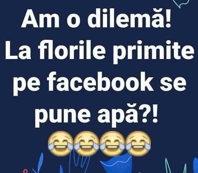 Am o dilemă! La florile primite pe Facebook se pune apă?